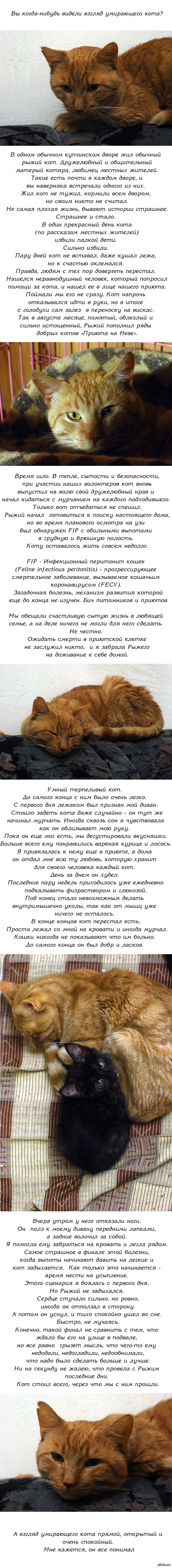 Ссылка на сайт кракен в тор браузере
