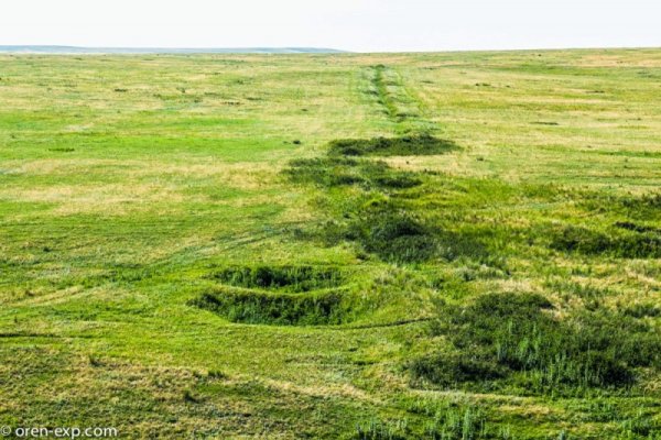 Кракен зеркало