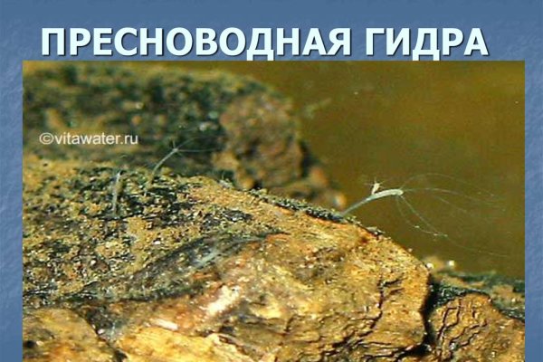Кракен сайт бошки