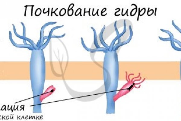 Кракен даркнет в тор