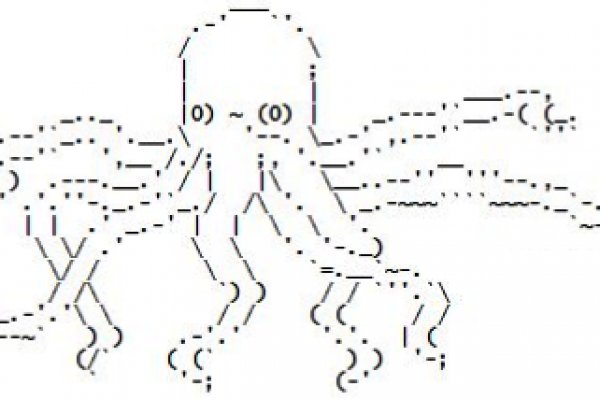 Kraken 13 at com