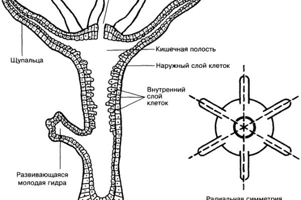 Kraken зеркала маркетплейс