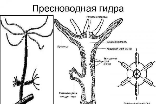 Kraken ссылка onion 2kmp